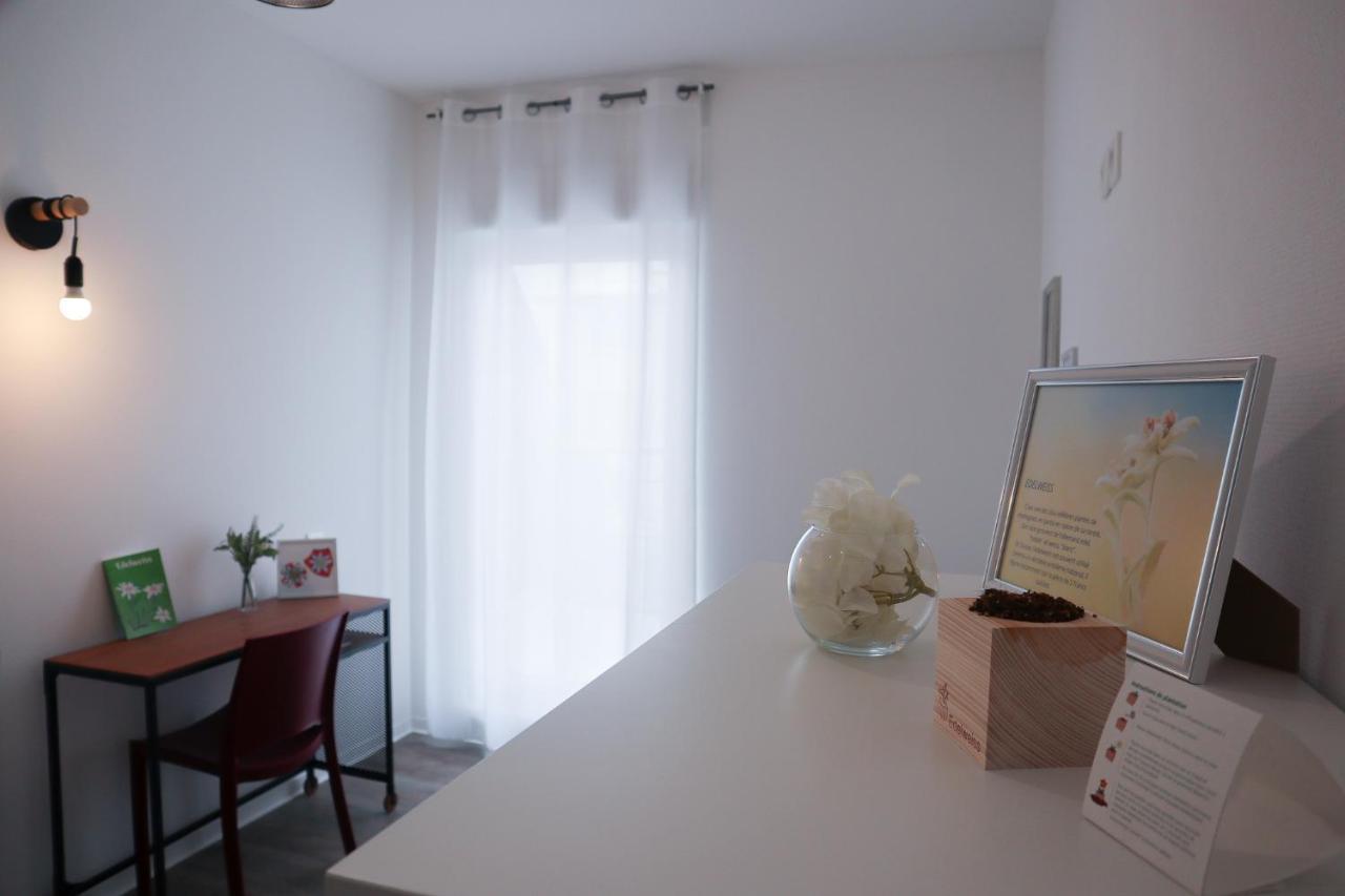 Le Paradis Fiscal, 5Min Bale, Parking Prive Saint-Louis  Exterior foto